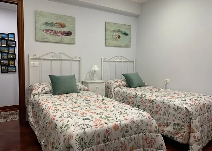 Apartamento Castro Castrino Camino De Santiago